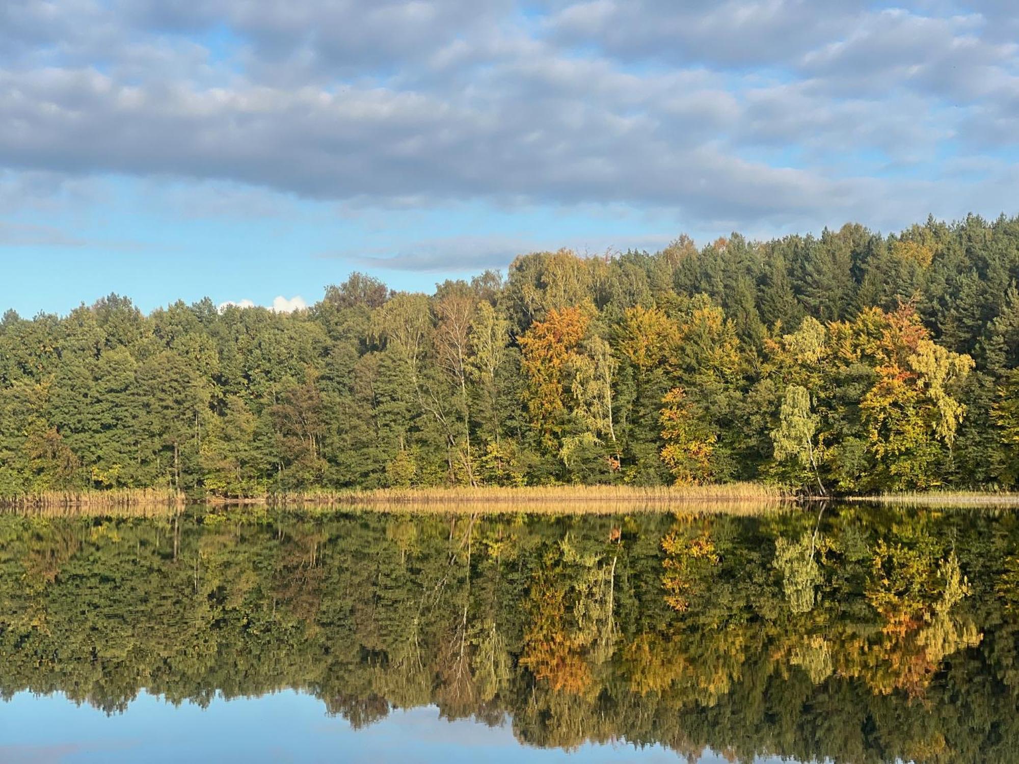 Hytte Narie 1 Morąg Exteriör bild